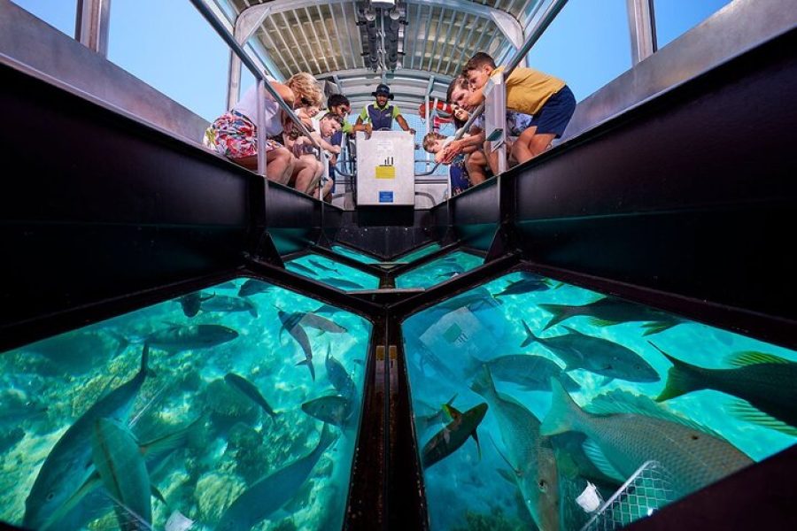 Glass Boat